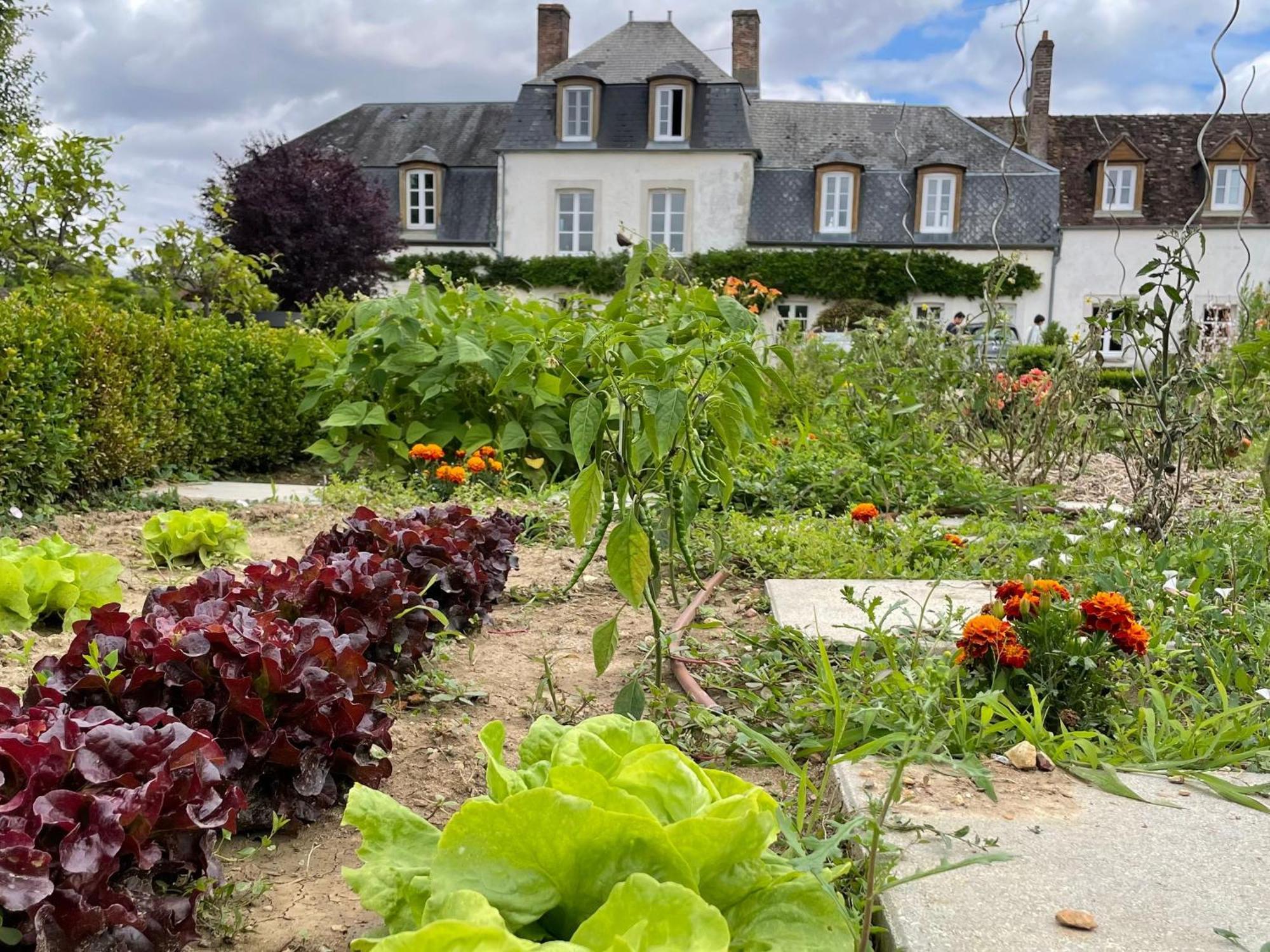 Maison De Famille Pres De Montargis - Elegance Et Confort En Foret - Fr-1-590-354 Paucourt 외부 사진